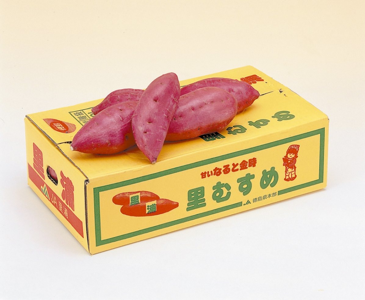 さつまいも なると金時『里むすめ』 5kg