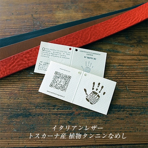 [beltlab] �����ꥢ��쥶���٥�� bllb0824