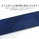 ꥻ 46󥪥 bllb0700[beltlab] ꥢ쥶٥