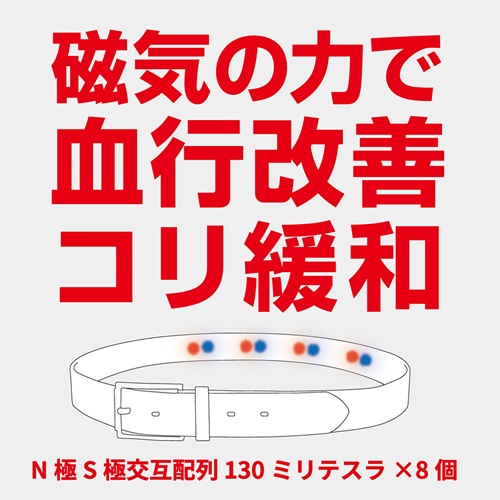 [colantotte] ȥå ٥ blct0004