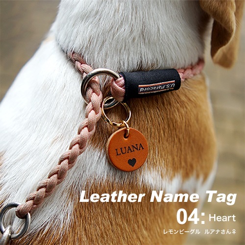 ̾  ͡ॿ ̾ bldg0001