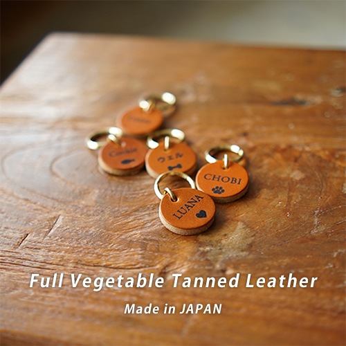 ̾  ͡ॿ ̾ bldg0001