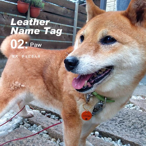 ̾  ͡ॿ ̾ bldg0001