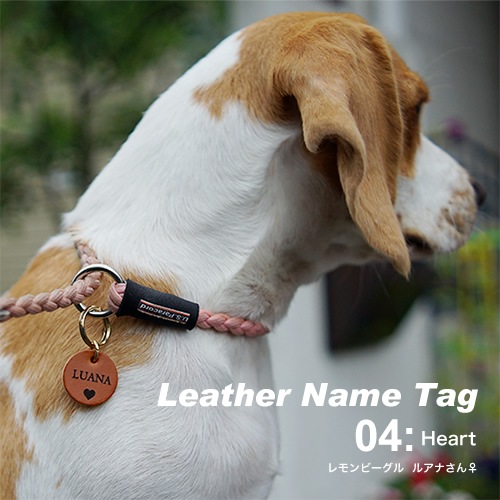 ̾  ͡ॿ ̾ bldg0001