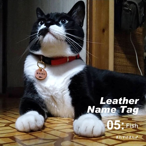 ̾  ͡ॿ ̾ bldg0001