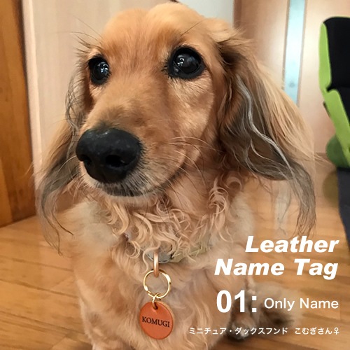 ̾  ͡ॿ ̾ bldg0001