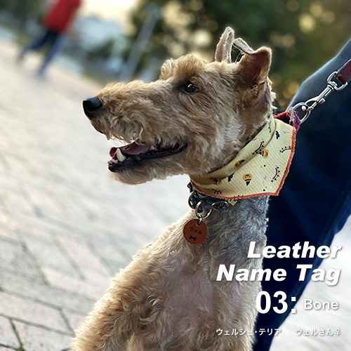 ̾  ͡ॿ ̾ bldg0001