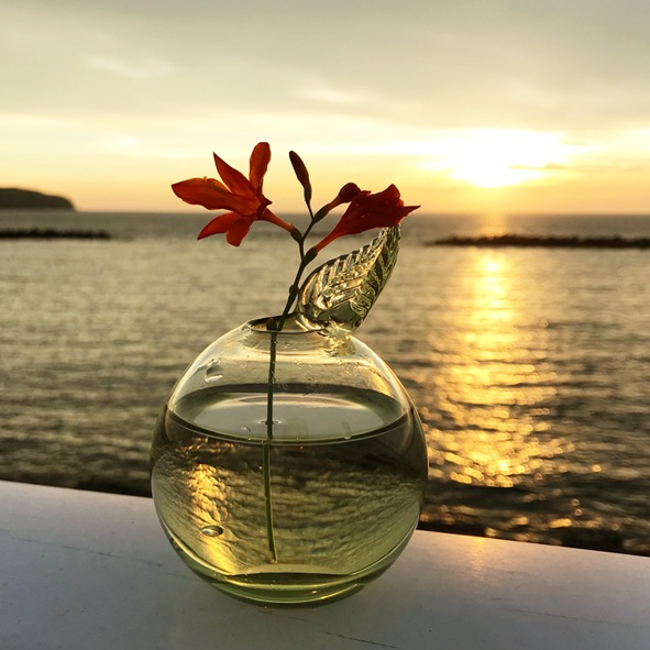 �����������ޤ�