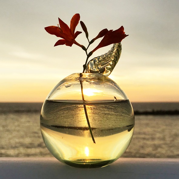 �����������ޤ�