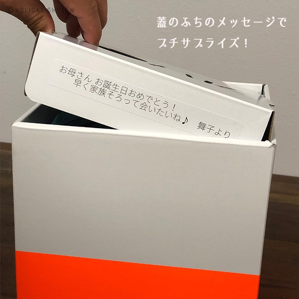 ǥ硼ڥͥǺܾʡ