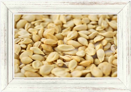 【化粧品原料】宮崎県産「銀鏡」 有機認証柚子種子/乾燥 50g （化粧水作りに）