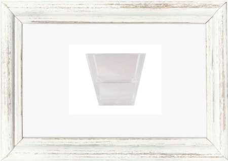 【化粧品原料】クインスシード 50g / マルメロの種子（植物増粘剤）