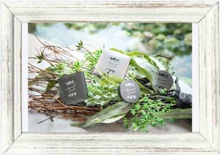 【5%OFF】4set ヘルシースキンver. オーガニックメイクセット / アロールートアンサンブル