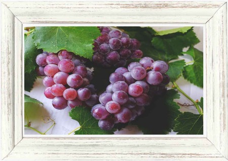 グレープ天然香料  5ml（葡萄・ブドウの香り/リバイタル系） / メゾンドナチュロパシー〈植物調合天然香料〉