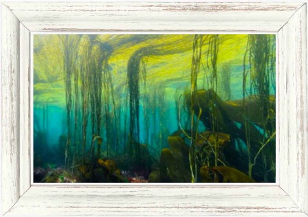 【化粧品原料】マリンバンブー5g（ブルーライトカット・日焼け止め化粧品に/手作り・開発用原料/0.1％処方）