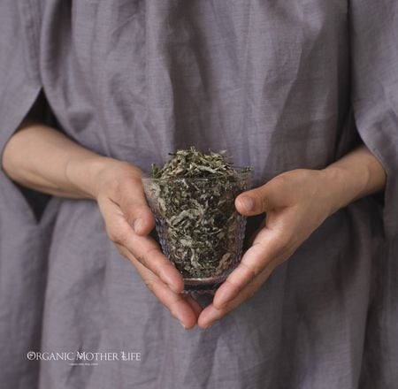【6月末まで20%OFF】植物芳香浴スチームローブ（よもぎ蒸し用オーガニックコットンウェア）