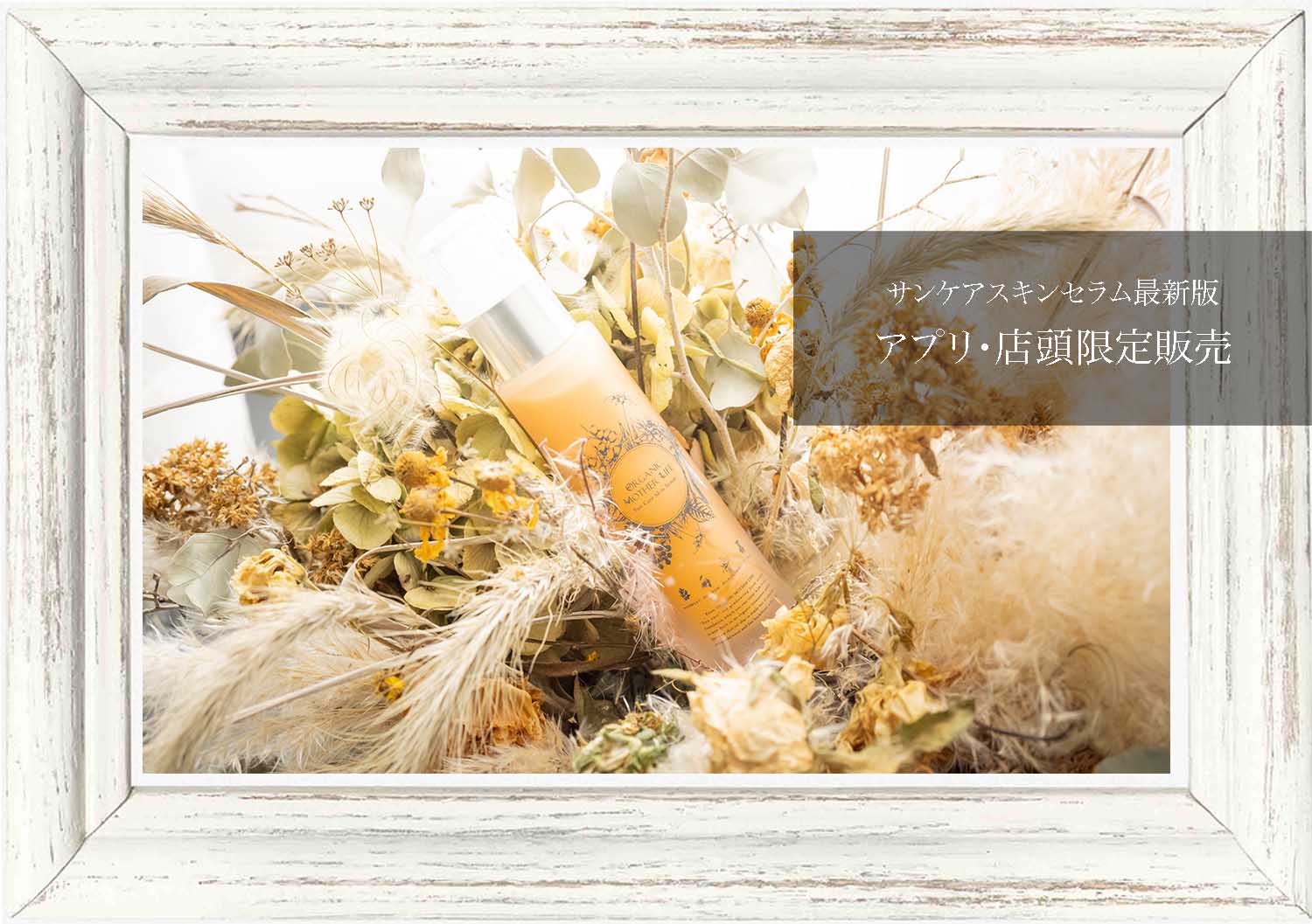アプリ/店頭限定 ☆10月15日発売☆ 先行予約20%OFF】金木犀ver