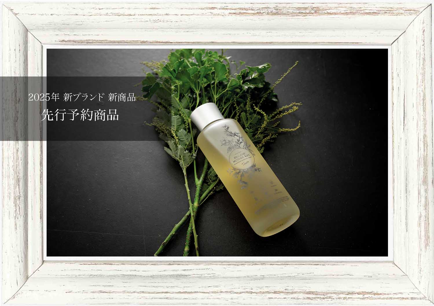 □ORGANIC MOTHER LIFE / オーガニックマザーライフ | ORGANIC