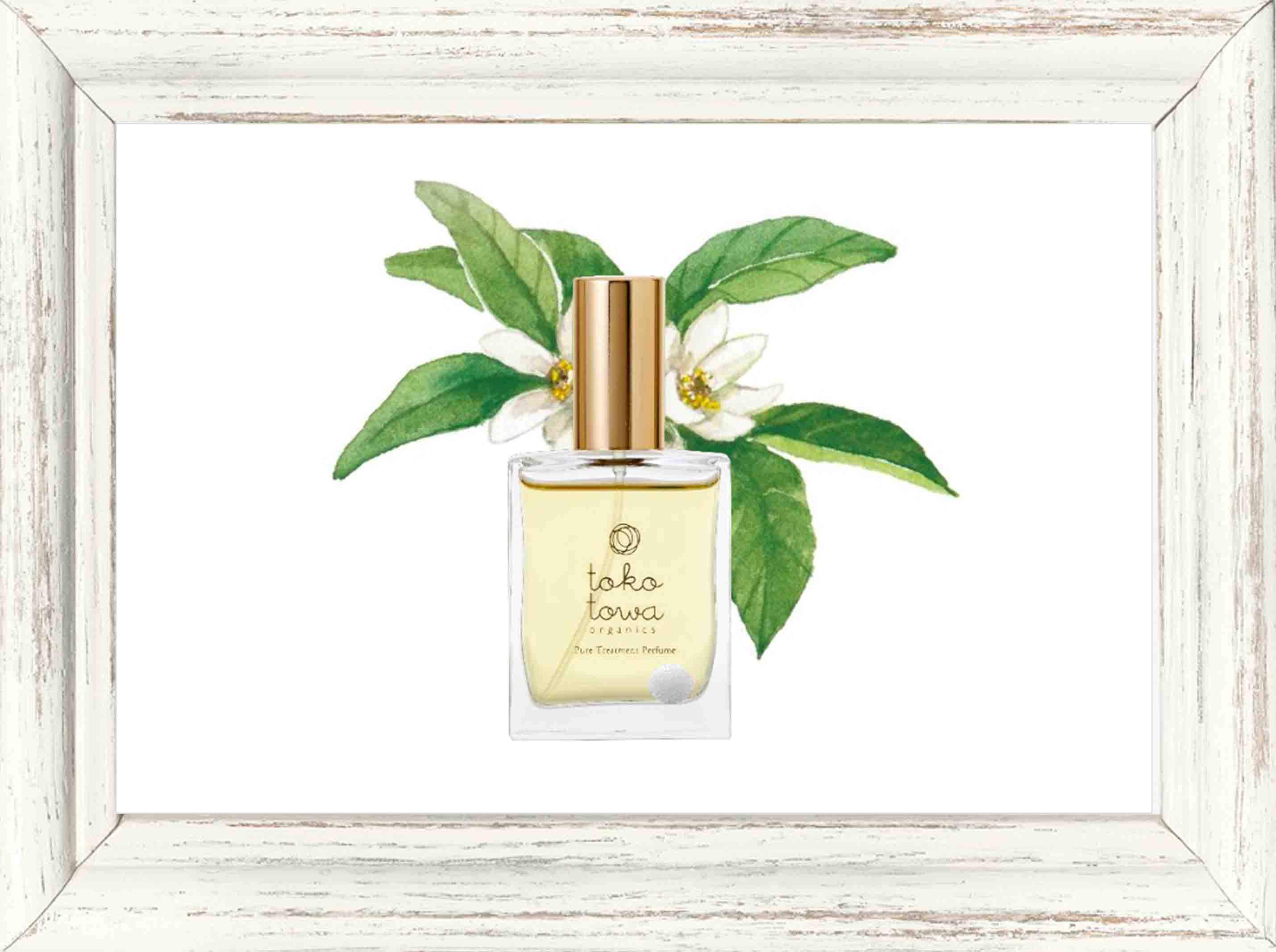 ジュエルアップミスト 100ml / ローズドビオ（化粧水） | すべての商品