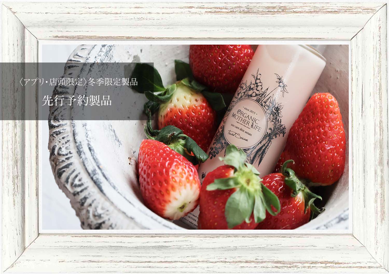 新品未使用　ライフバンテージ　4点セット　アンチエイジング　スキンケア ライフバンテージ スキンケアセット 新品未使用 ライフバンテージ 4点