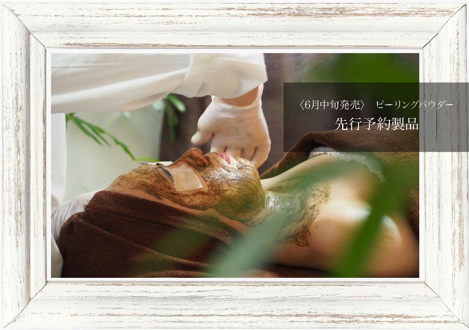 サロン専売化粧品】,業務用ソフトハーブピーリング | ORGANIC MOTHER