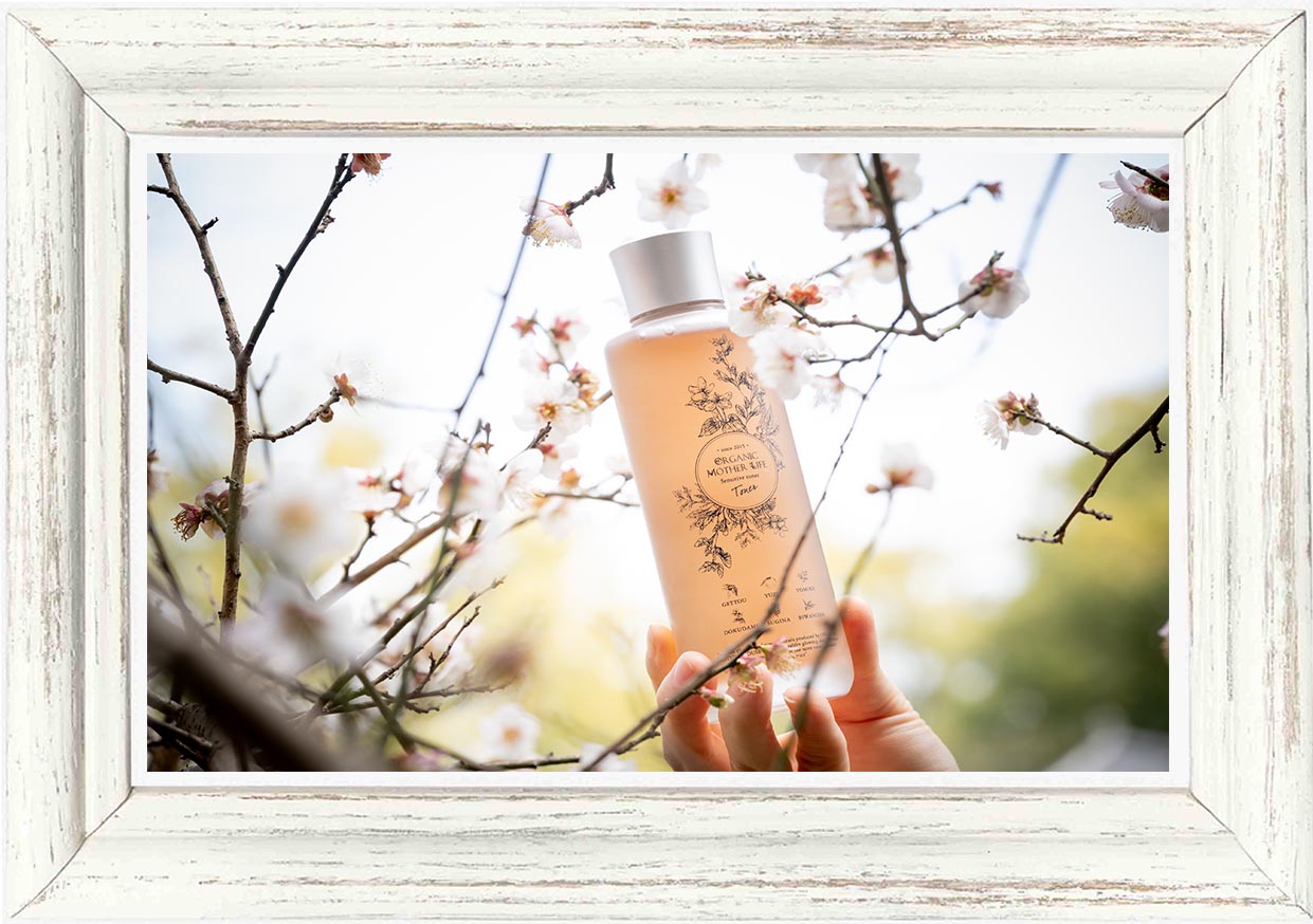 期間限定/アプリから購入可能】プリュネエッセンシャルトナー