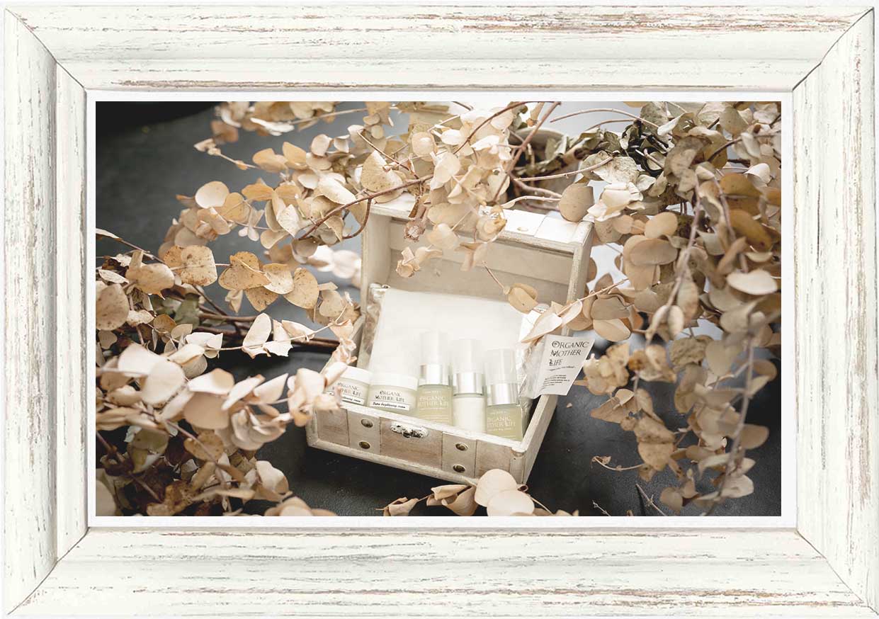 OML パトラトラベル＆トライアルポーチセット / 株式会社オーガニック