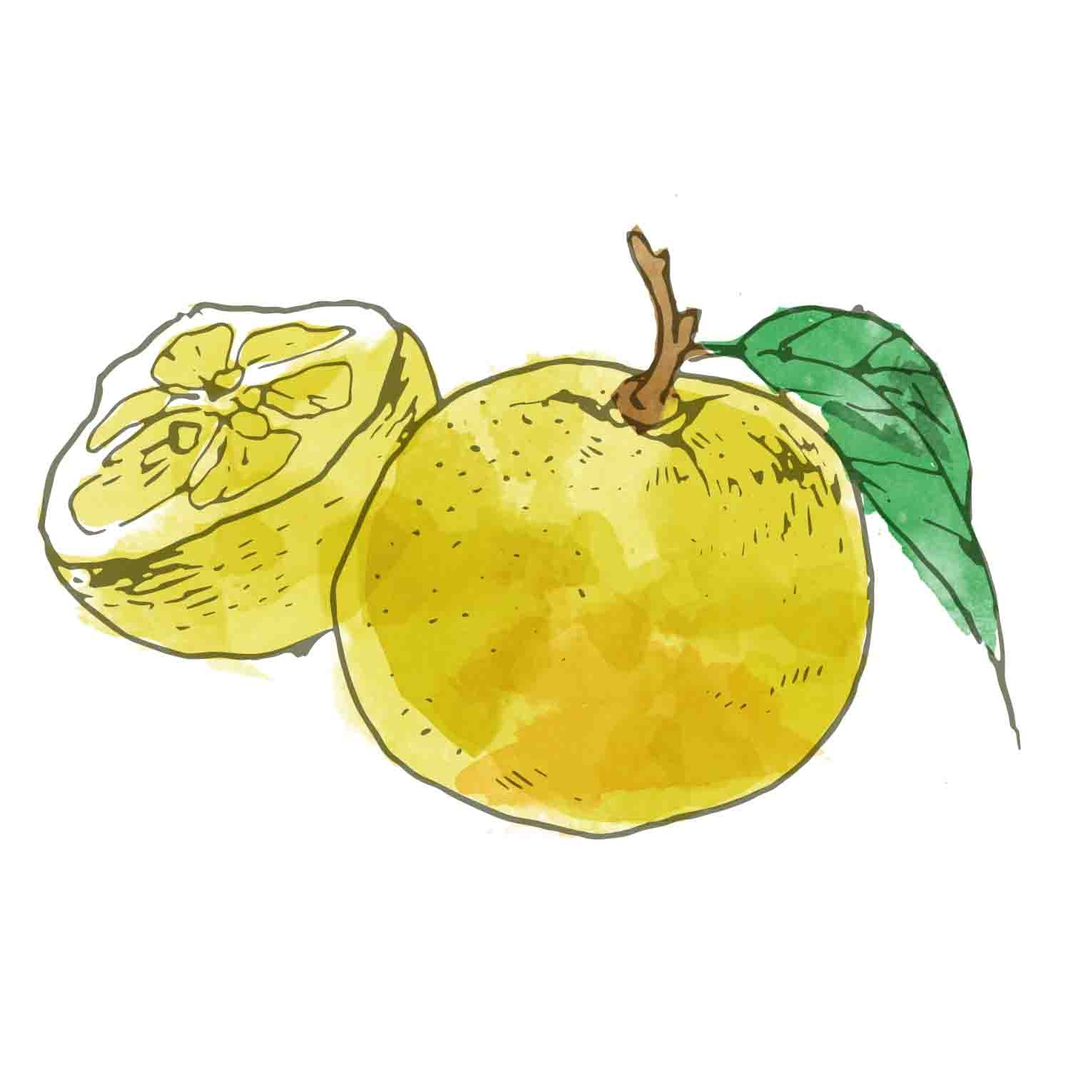 ボタニカルレメディホイップピンク50g REVITAL系（YUZU＆GINGER