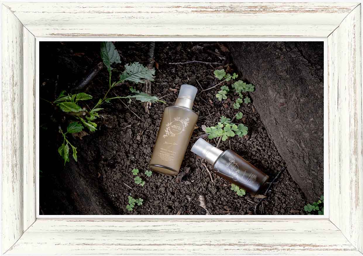 NEW10%OFF】アンジェラエイジングケアセット / オーガニックマザー