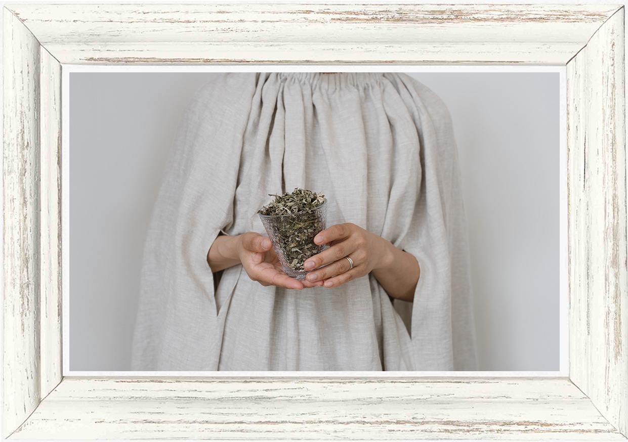 Luluon ルルオン YOSA ケープ 美品 よもぎ蒸し Luluonn ライトケープ YOSA ヨサ ルルオン ケープ よもぎ蒸し