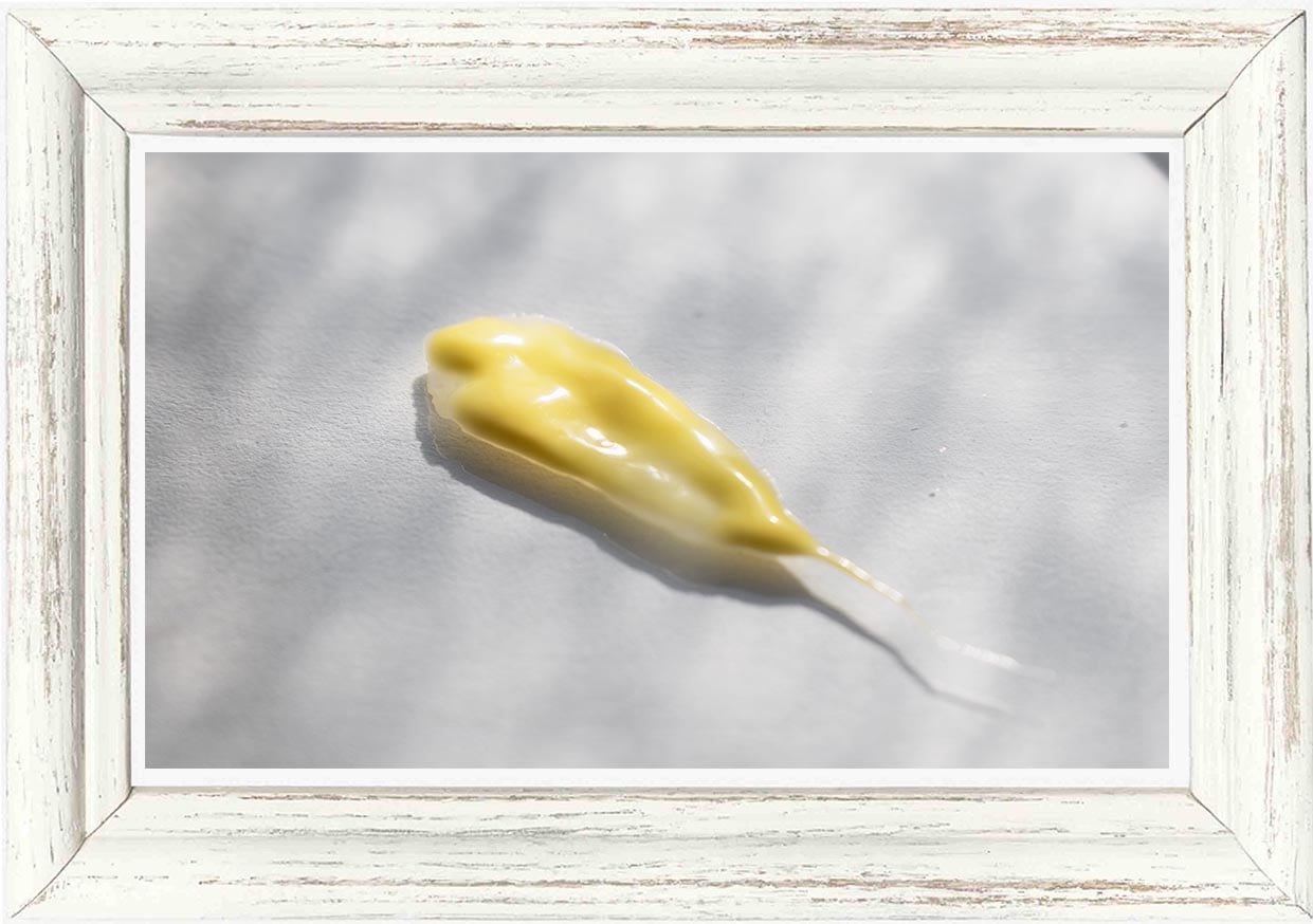 2026年改良版 ☆先行予約25%OFF☆3月末まで】サンケアスキンセラム