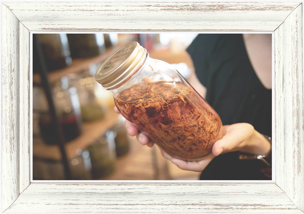 化粧品原料】ヨモギエキス 15ml / メゾンドナチュロパシー（AGING CARE