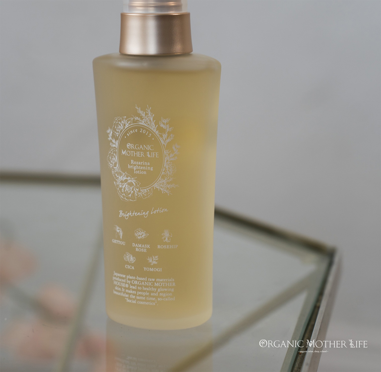 パトラメディテーショントナー 100ml（植物幹細胞化粧水） | すべての