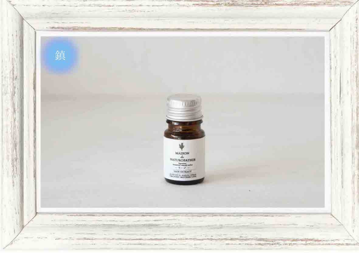 【化粧品原料】エルダーフラワーエキス 5ml / メゾンドナチュロパシー (CALM系 植物エキス ） すべての商品一覧