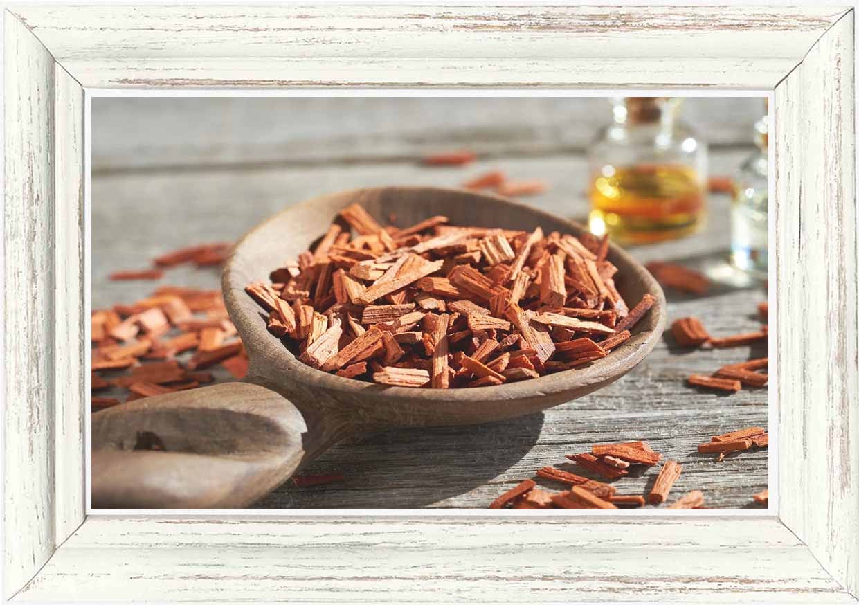 先行予約25%OFF/2月末まで☆4月発売☆】アンジェラノーブルクリーム