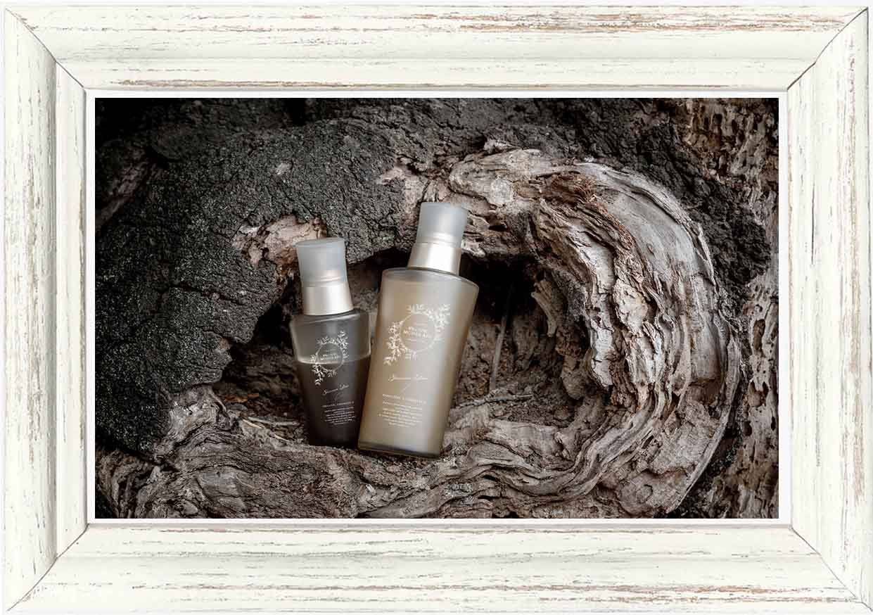 シナリー　エコバース　B5 ML オーラケアフレッシュ　おいちゃん様 シナリー エコバース B5 ML オーラケアフレッシュ おいちゃん様