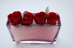 �ڥϥ�ɥᥤ�ɥ��饹�ۥ���ݡ��ȤΥѡ��ץ륬�饹�ִ�˥磻��ߥ˥������Υ���󥸡���������