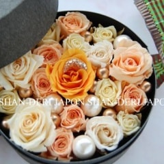 ������̵���ۡ��ޥꥢ����������������ڥץꥶ���֥ɡ����奨�꡼�ե���