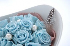 ������̵���ۡڳ�Ź�ˡۡ�����ޥ饹��M�ڥץꥶ���֥ɥե���