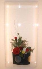 ������̵���ۡ��¥����ۡ�SHAKUNAGE�ڥץꥶ���֥ɥե���