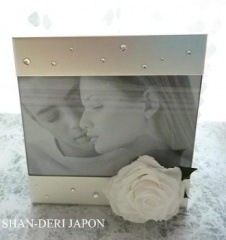 ������̵���ۡڥե��ȥե졼��ۡ����꡼���ꥹ����ڥץꥶ���֥ɥե���