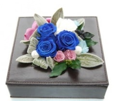 ������̵���ۡڳ�Ź�ˡ����ˡۡ������꡼�������ڥץꥶ���֥ɥե���