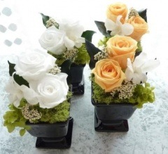 ������̵���ۡڤ������֡�ʩ�֡ۡ��ץ��ۥ磻�ȡ��ץ�����󥸡ڥץꥶ���֥ɥե���