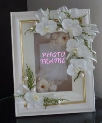 ������̵���ۡڥե��ȥե졼��ۡ��ѡ���ۥ磻�ȡڥץꥶ���֥ɥե���