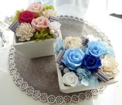 ������̵���ۡڳ�Ź�ˡ����ˡۡ��ޥΥ�ڥץꥶ���֥ɥե���