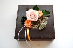 ������̵���ۡ������꡼��������ɡ�AKIKO�ڥץꥶ���֥ɥե���