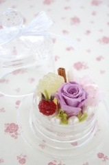 \3,500-ڥ饹ۡץƥǥѡץڥץꥶ֥ɥե