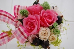 ���֥�å��٥꡼��MIYUKI�ڥץꥶ���֥ɥե���