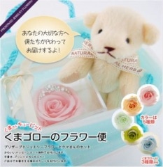 \2,380-�ڥץ����եȡۡ�����ȯ���ۡ����ޥ������Υե��ءڥץꥶ���֥ɥ��奨�꡼