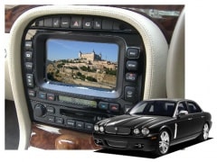 JAGUA�ҡ�VIDAV���󥿡��ե�����